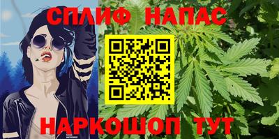 МДПВ Пушкино