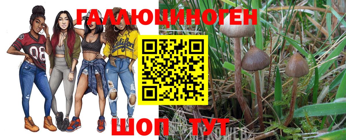 Псилоцибиновые грибы GOLDEN TEACHER  Вход с VPN  Галлюциногенные грибы GOLDEN TEACHER  Сатка 